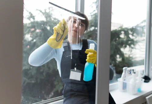 Nettoyage de vitres intérieures et extérieures à Saint-Germain-du-Pinel